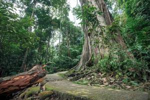 BIB: 
                            <button type="button" onclick="openModal(24809415)" class="btn btn-primary btn-sm float-right btn-popup" data-toggle="modal" data-target=".modal-high-quality">
                        <i class="fas fa-shopping-cart"></i> Add to Cart
                    </button>
                                            <button type="button" onclick="isThisMe(24809415, true)" class="btn btn-success btn-sm float-right btn-popup btn-isme hidden" data-toggle="tooltip" data-placement="bottom" title="นี่คือรูปของคุณใช่ไหม คลิกที่นี่เพื่อเอาเข้าอัลบั้ม">
                        <i class="fas fa-plus"></i> Add to album
                    </button>
                    <button type="button" onclick="isThisMe(24809415, false)" class="btn btn-warning btn-sm float-right btn-popup btn-isnotme hidden">
                        <i class="fas fa-ban"></i> Remove from album
                    </button>